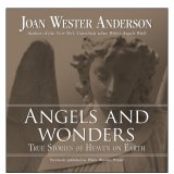 Angels and Wonders : True Stories of Heaven and Earth