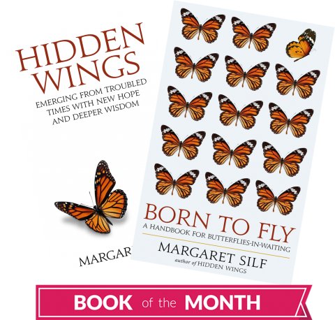 Hidden Wings & Born to Fly Book of the Month Pack