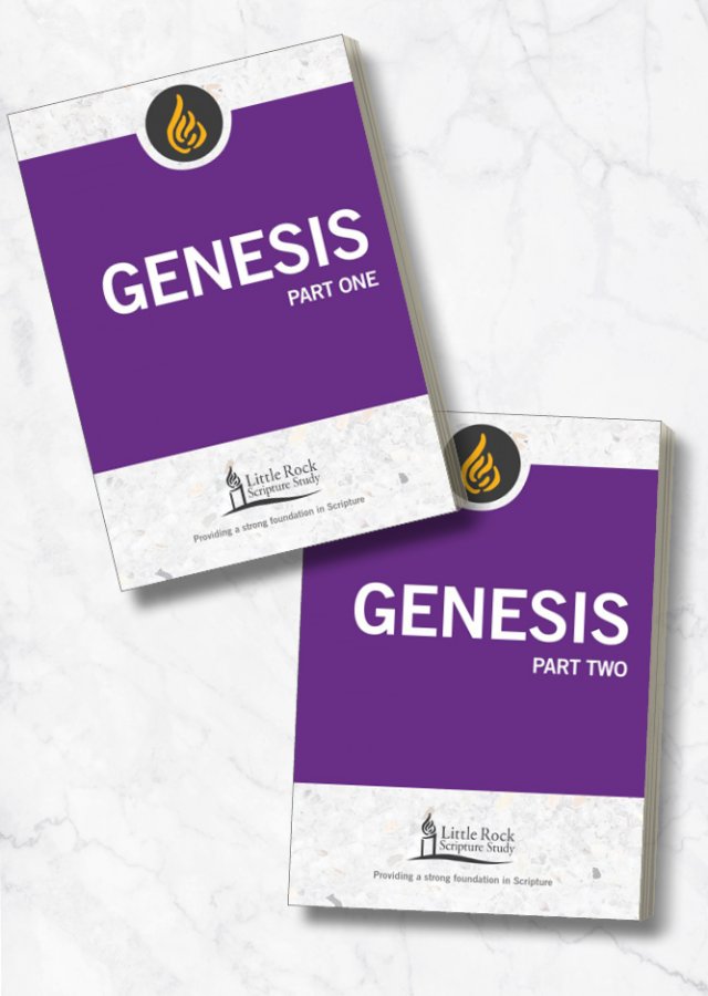 Genesis Part 1 & 2: Little Rock Scripture Study Reimagined