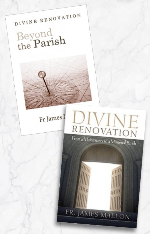 Divine Renovation & Beyond the Parish 2 book pack