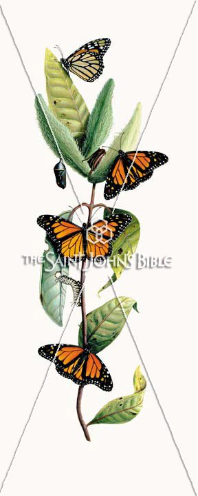 Milkweed And Butterfly: The Shorter and Longer Ending of the Gospel of Mark Featured Print from the Saint John’s Bible
