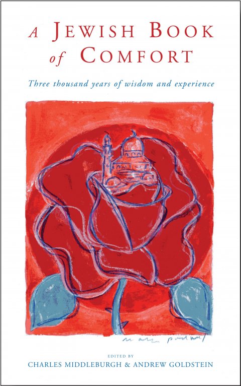 A Jewish Book of Comfort :Three thousand years of wisdom and experience