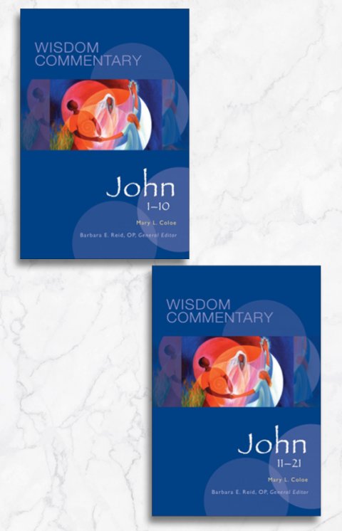 John: Wisdom Commentary Series 2 Volume Set