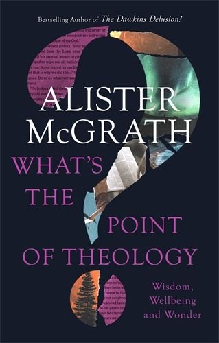 What's the Point of Theology?: Wisdom, Wellbeing and Wonder