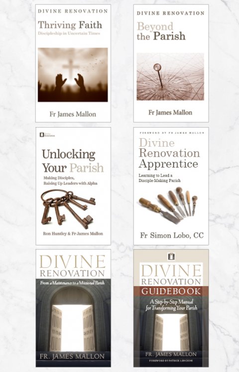Divine Renovation Series Pack of 6 Books