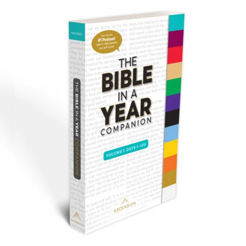 Bible in a Year Companion Volume 1