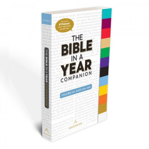 Bible in a Year Companion Volume 3