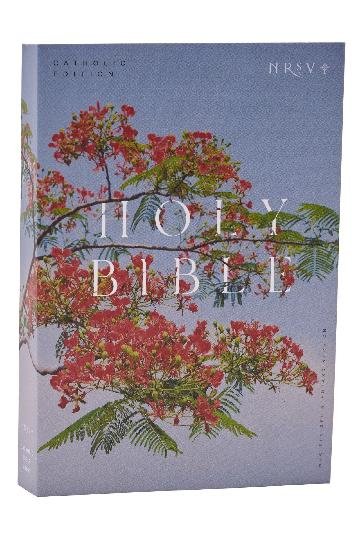 NRSV Catholic Edition Bible, Royal Poinciana Paperback