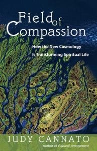 Field of Compassion How the New Cosmology Is Transforming Spiritual Life