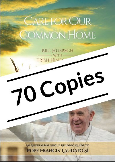 Care for Our Common Home: An Australian Group Reading Guide to Pope Francis' Laudato Si Pack of 70 copies