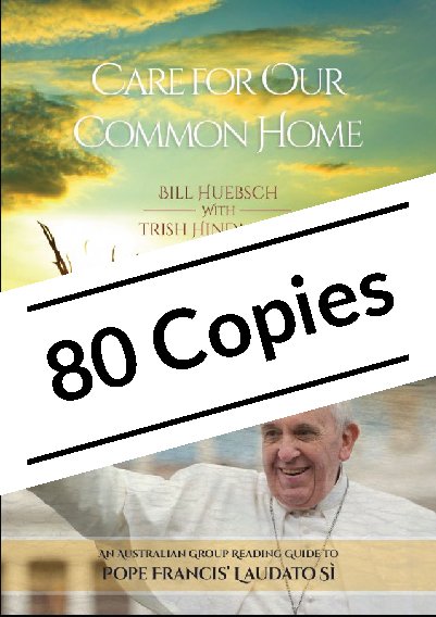 Care for Our Common Home: An Australian Group Reading Guide to Pope Francis' Laudato Si Pack of 80 copies