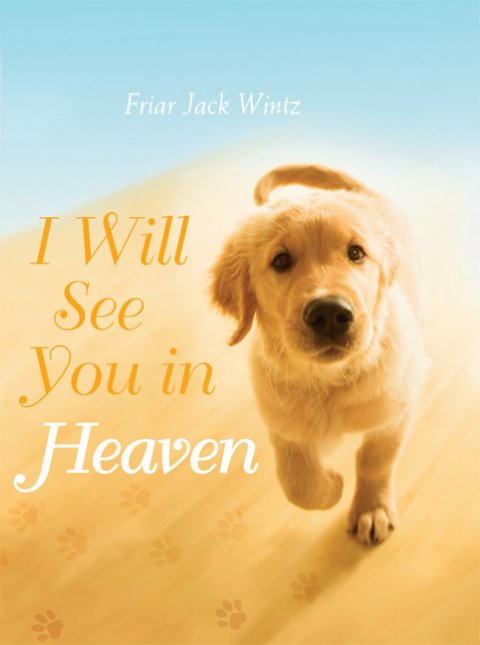 I Will See You in Heaven hardcover