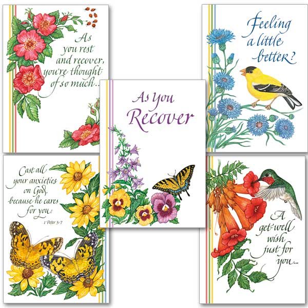Get Well Cheer Collection- pack of 5 assorted get well cards