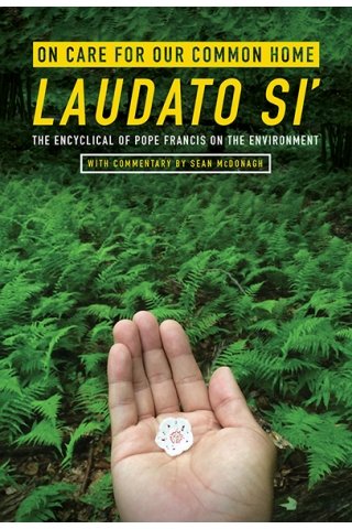 On Care for Our Common Home, Laudato Si': The Encyclical of Pope Francis on the Environment with Commentary