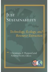 Just Sustainability: Technology, Ecology, and Resource Extraction - Catholic Theological Ethics in the World Church Series Vol 3
