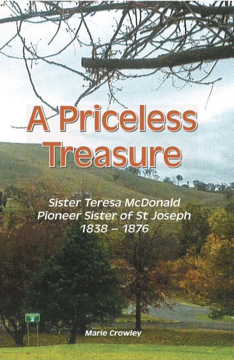 A Priceless Treasure (hard cover)